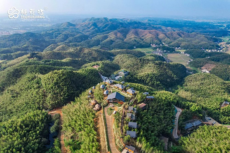 桃花江竹海风景区