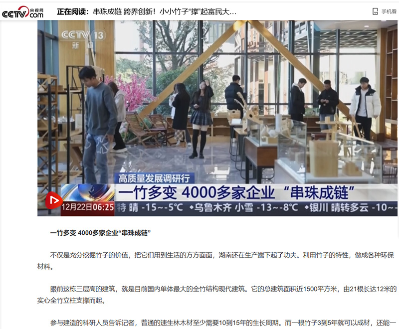 央视新闻—串珠成链 跨界创新！小小竹子“撑”起富民大产业