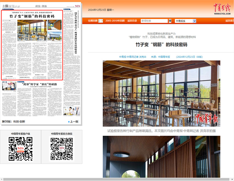 竹子变“钢筋”的科技密码